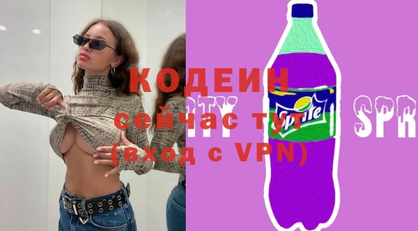 круглые Гусев