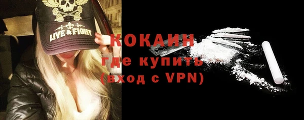 круглые Гусев