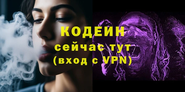 дмт Горнозаводск