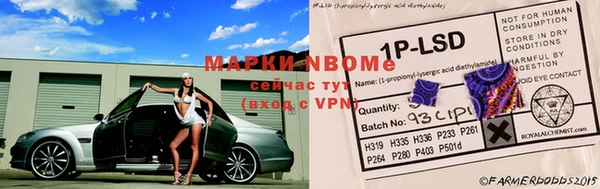 прущая мука Горняк