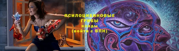 круглые Гусев